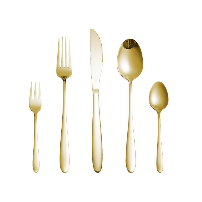 High Grade 5 Pieces Stainless Steel Cutlery