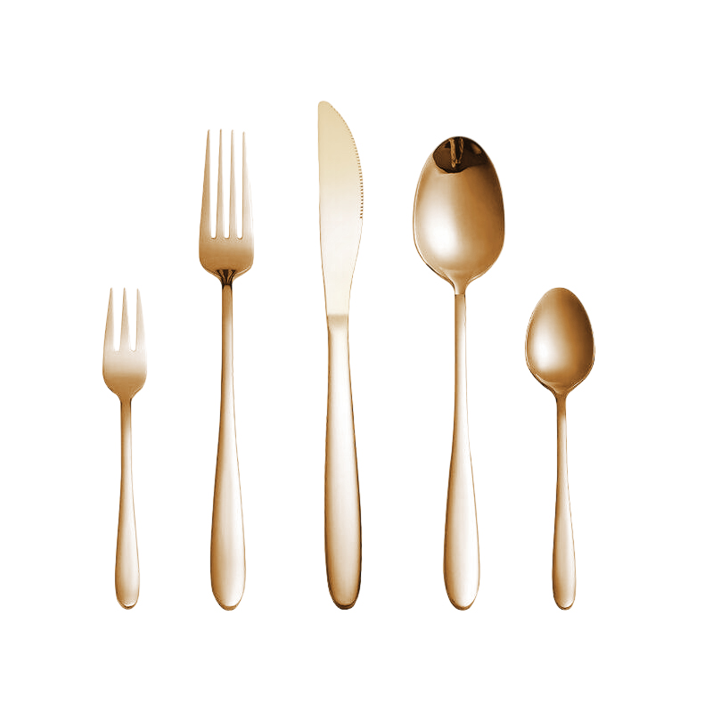 High Grade 5 Pieces Stainless Steel Cutlery